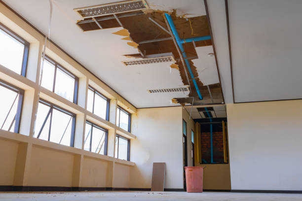 Best Mold removal after water damage  in Glenmont, MD