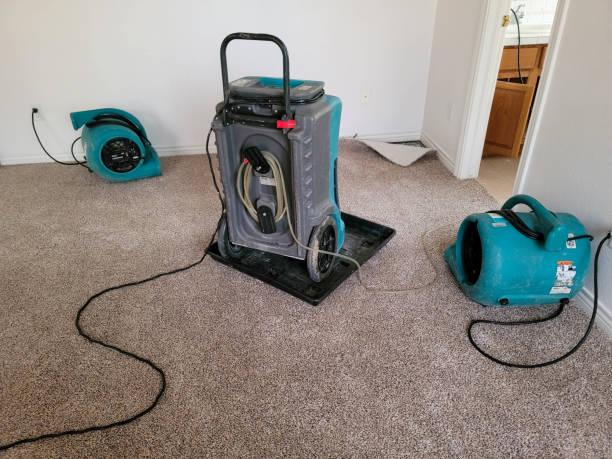 Best Water damage cleanup near me  in Glenmont, MD