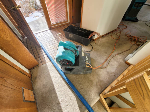 Water damage restoration experts in MD