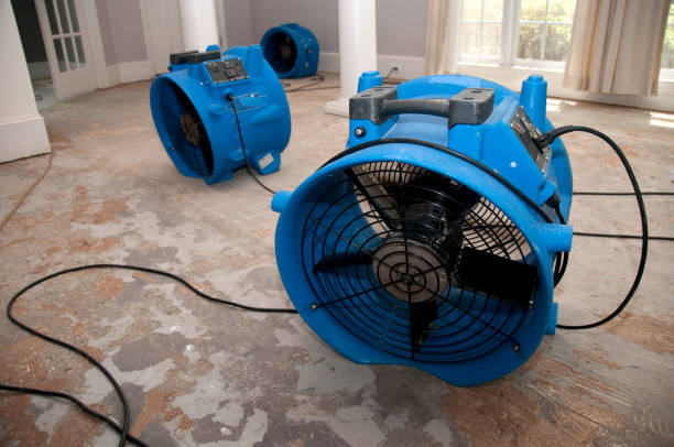 Best Water damage restoration near me  in Glenmont, MD