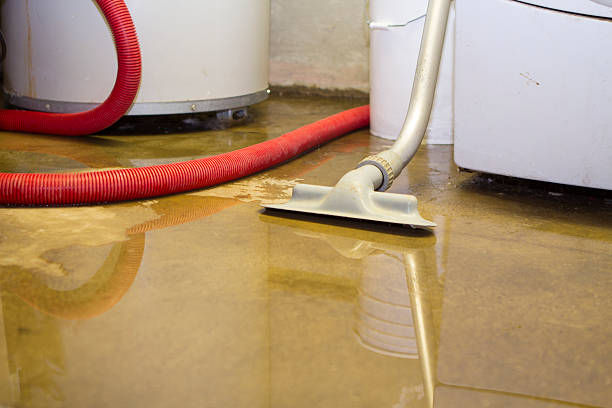 Best Water damage restoration process  in Glenmont, MD