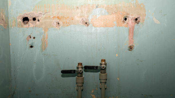 Best Flood damage cleanup  in Glenmont, MD