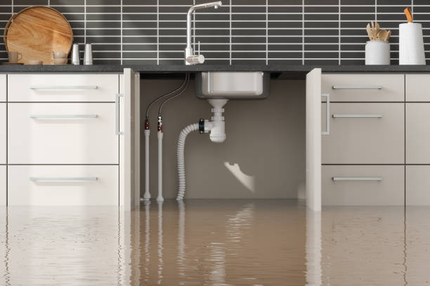 Best Fire Damage Restoration  in Glenmont, MD